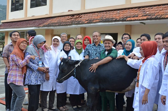 Daging Sapi: Fokus pada Sektor Hilir, Abaikan Masalah di Sektor Hulu