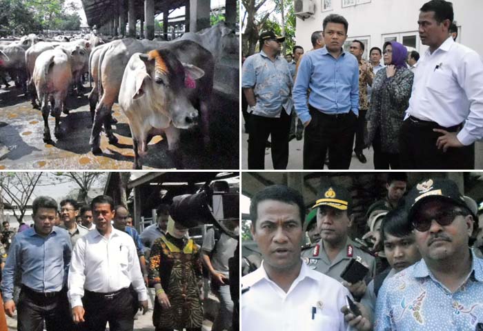 Amran Sulaiman Kecam `Feedloter` Stop Pasokan Daging