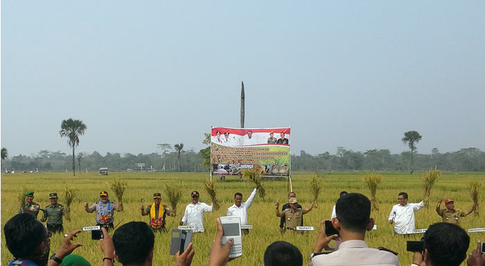 Kunker ke Sultra, Mentan Panen Raya di Kolaka dan Konawe Selatan