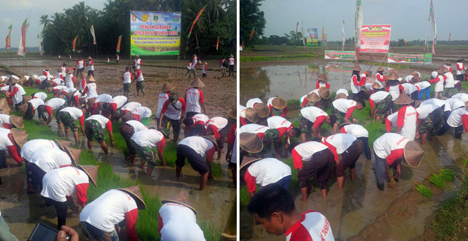 Mentan Dijadwalkan Pimpin Gerakan Tanam Padi di Banten