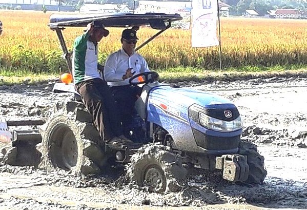 Sektor Pertanian Tumbuh Pesat, Kontribusi PDB Turun Seiring Peningkatan Sektor Industri