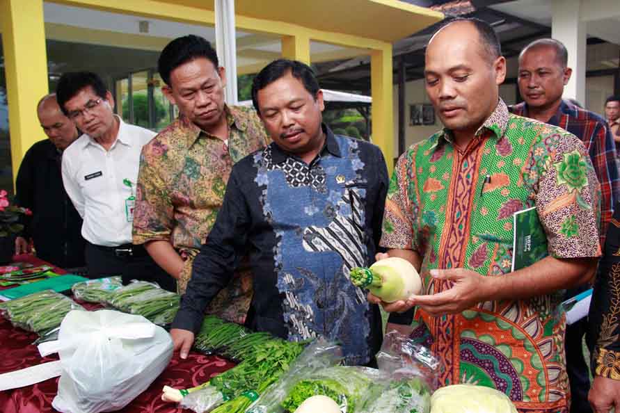 Momon Rusmono: P4S Ubah Perilaku Petani dari Budidaya untuk Konsumsi ke Agribisnis