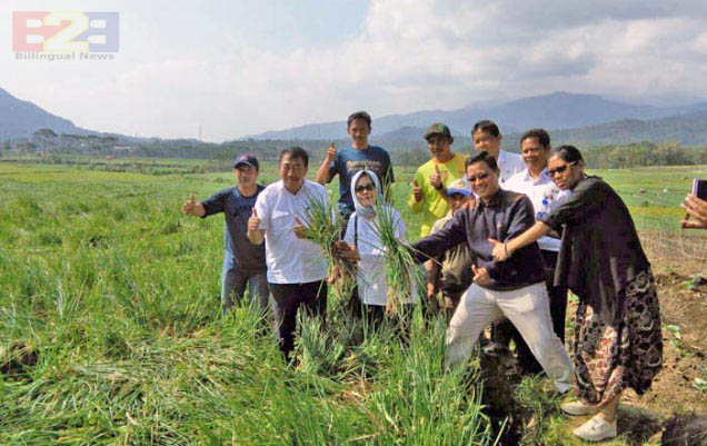Dirjen Spudnik Optimistis Produksi Bawang Tetap Surplus Hingga Oktober 2017