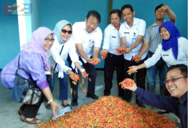 Spudnik Sujono Pastikan Produksi Aneka Cabai Surplus Hingga Oktober 2017