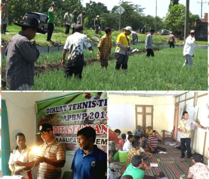 Diklat Tematik Petani Bawang Demak, BBPP Ketindan Kampanyekan Agroekosistem