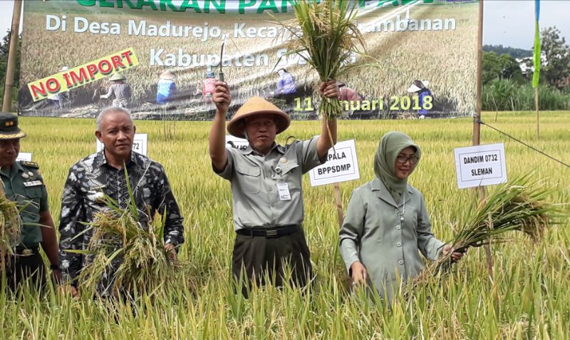 Kepala Badan SDM Kementan Pastikan `Tiada Hari Tanpa Panen` di Yogya