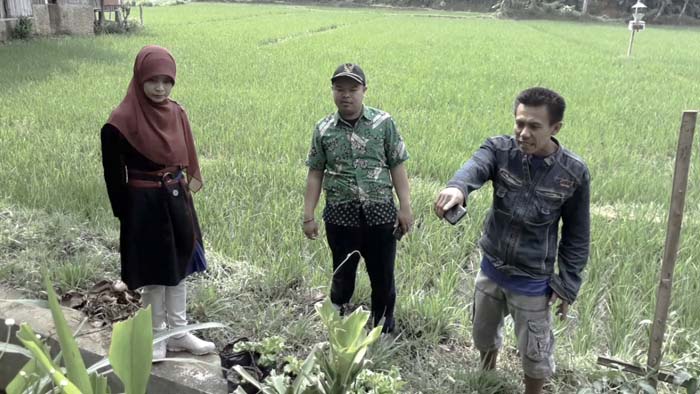 Pirus, Sinergi Penyuluh dan Petani Sukabumi Kembangkan `Urban Farming`