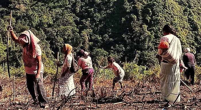 Produksi Padi Terjaga, Kekeringan Bukan Lagi Ancaman