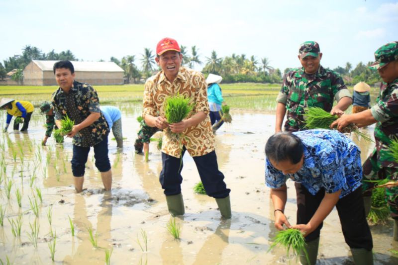 Sawah Irigasi OKU Timur, Secercah Asa LTT Sumsel di tengah Paceklik