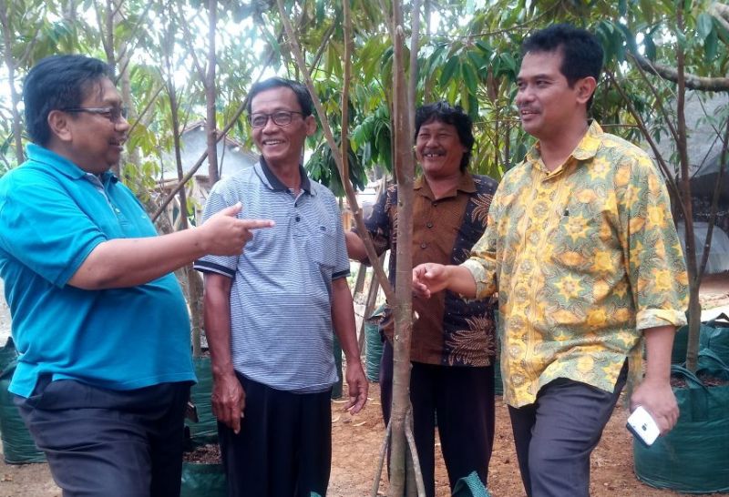 LTT Banyumas Dipantau, PJ Upsus Jateng Dukung Promosi Durian Bawor