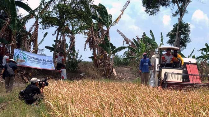 Korporasi Petani, Pusluhtan Kementan Visualisasi Potensi KEP di Lampung