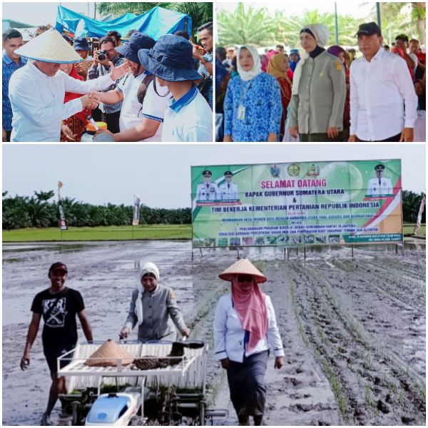 Program Bekerja, BPPSDMP Kementan Serahkan 179.000 Ekor Ayam di Langkat