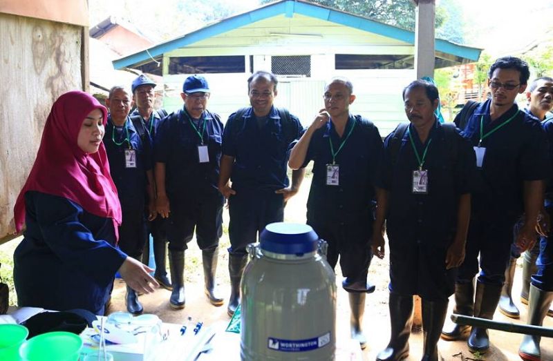 Kompeten Berdaya Saing, LSP - BPPSDMPP Kementan Uji  Inseminator Pemprov Jateng