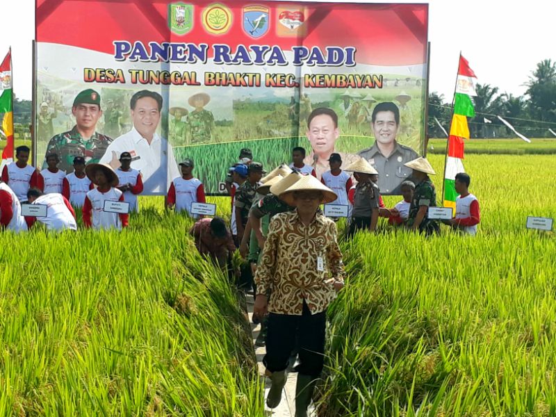 Andalkan Sumur Bor, Sawah Tadah Hujan Sanggau Panen 7,7 ton/ha di Musim Kemarau