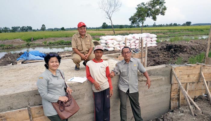 Ada Padi Segala Menjadi