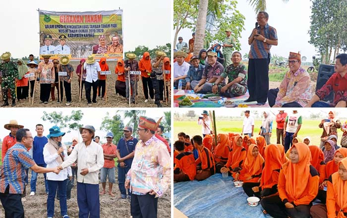 Gertak Kapuas, PJ Upsus Kalteng Ajak Pelajar SMK Cintai Pertanian