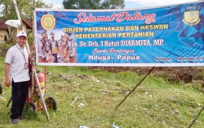 Cegah Stunting, Kementan Serahkan Bibit Babi untuk  Nduga dan Paniai di Papua