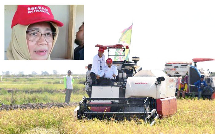 Penyuluh, Petani dan Peneliti Berjibaku Dukung `Demfarm` #Serasi Kalsel