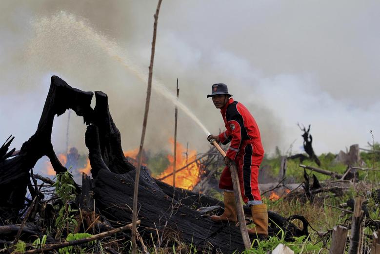 Kebakaran Hutan, TNI dan Polri Dukung BNPB Cegah Kabut Asap