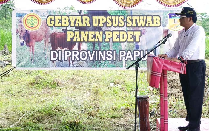 Gerbang Patas, Dirjen PKH Apresiasi Capaian Upsus Siwab di Papua
