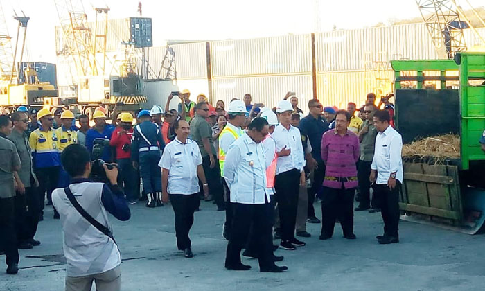 Tinjau Kapal Ternak, Bukti Dukungan Jokowi pada Pembangunan Peternakan