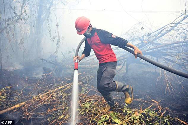 Ribuan Orang Berjibaku Atasi Kebakaran Hutan dan Lahan 