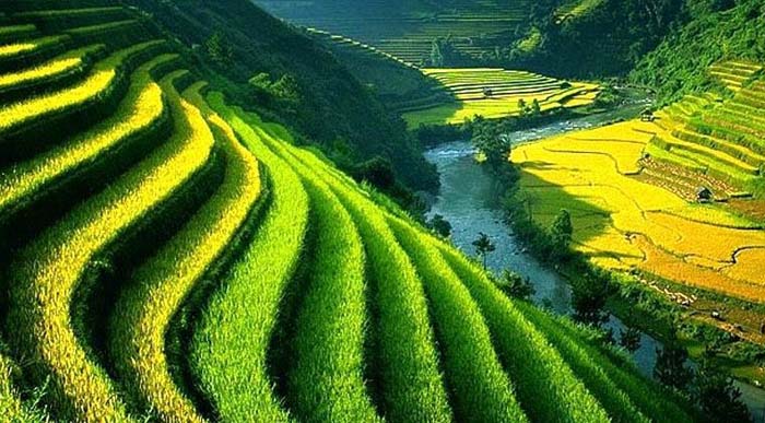 Kearifan Lokal Bali Subak Potensial Dukung Gapoktan Kembangkan Ekonomi Petani