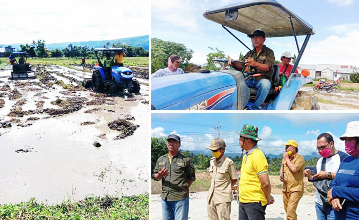 Antisipasi Covid-19, Poso Siap Tanam #PertanianTidakBerhenti di Sulteng