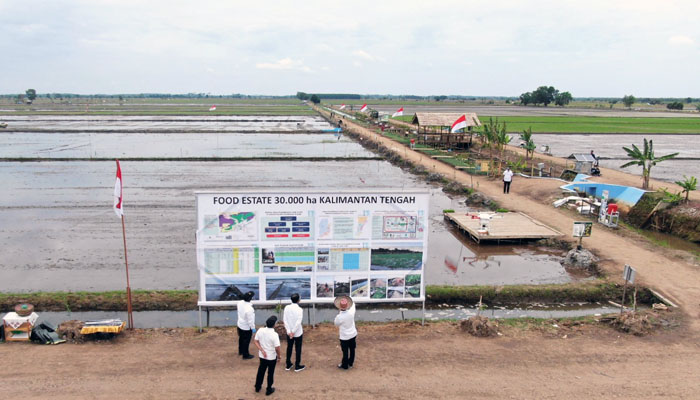 Kementan Terapkan Pertanian Modern untuk `Food Estate` Kalteng