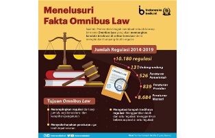 Omnibus Law 