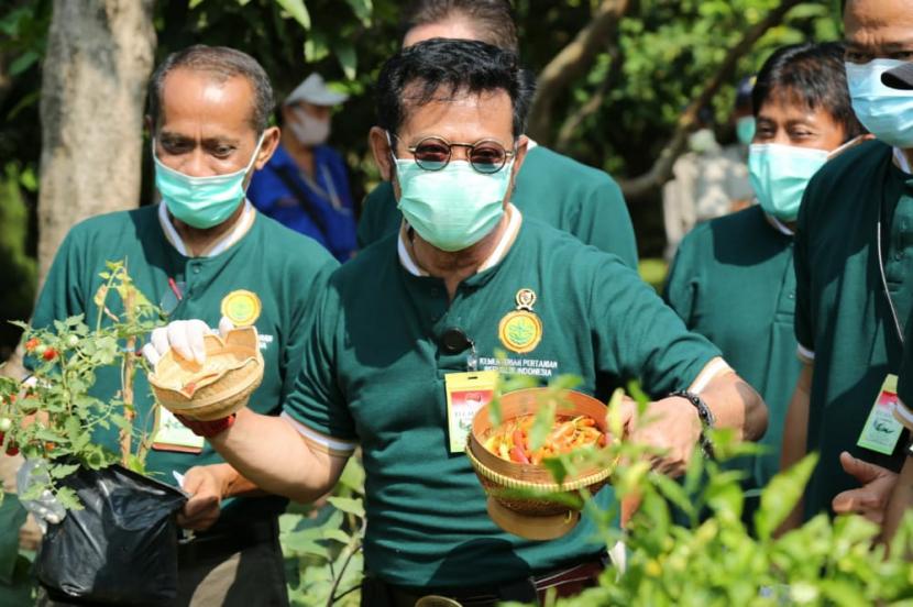 Penyuluh Harus Manfaatkan Momentum Tren Hidroponik di Perkotaan