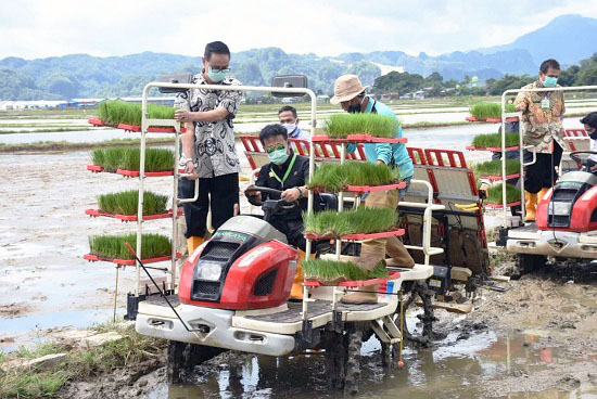 Okmar 2021, Mentan Ajak Penyuluh Kawal Petani Percepat Tanam