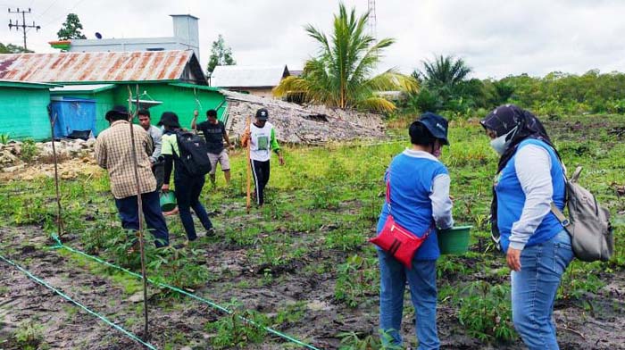 Penyuluh Bartim Kawal Petani Tanam Jagung di Lahan Tidur