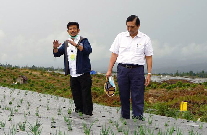 Mentan: Tanam Perdana Food Estate Humbahas Rampung Januari 2021