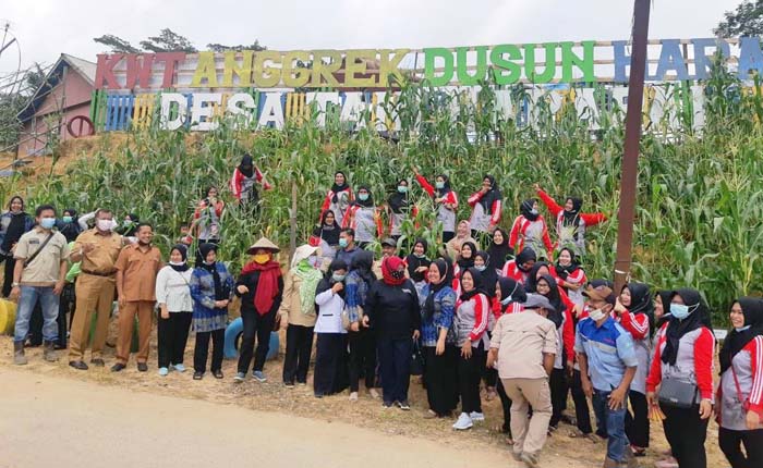 Lomba KWT, Penyuluh Kukar Kampanye Pekarangan Sumber Pangan