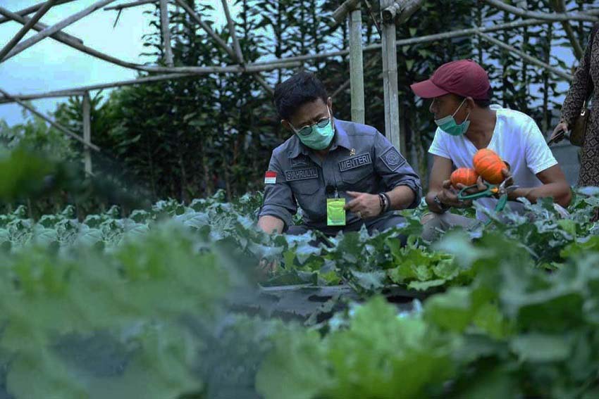 Mentan Kunjungi Lokasi Usaha Packing House di Lembang