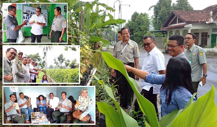 Timun Baby, Mentan SYL Apresiasi Polbangtan YoMa Bina KWT di DI Yogyakarta