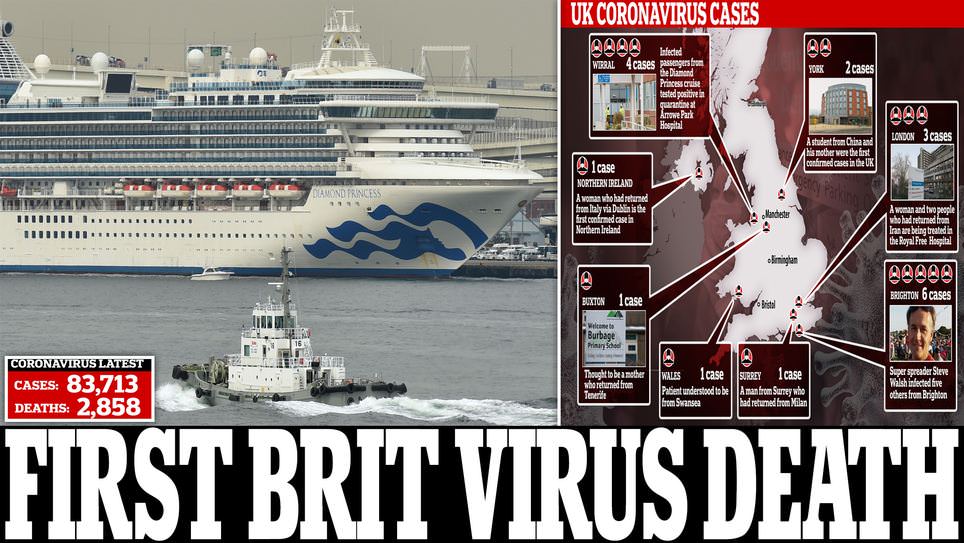 Warga Inggris Dilaporkan Tewas akibat Corona di Kapal Pesiar Diamond Princess