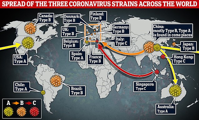 Tiga Jenis Virus Corona Menyebar di Seluruh Dunia, Ini Peta Sebarannya