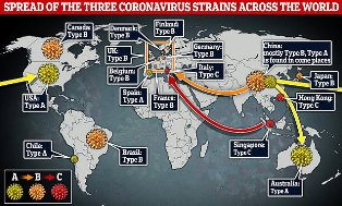 Tiga Jenis Virus Corona Menyebar di Seluruh Dunia, Ini Peta Sebarannya