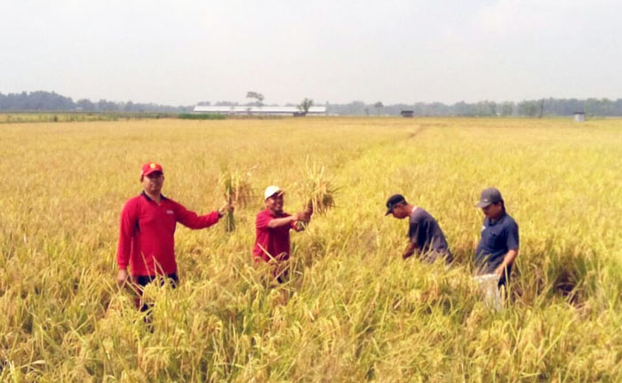 Petani Penggarap dan Buruh Tani Kediri Dukung Penguatan KostraTani