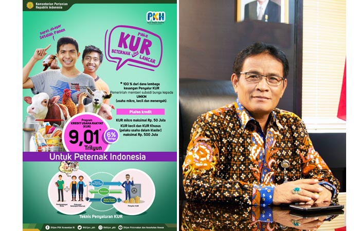 KUR Rp9,01 Triliun, Kementan Dorong Pemerataan Ekonomi Subsektor Peternakan