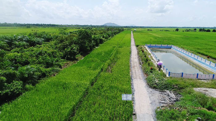 Naik 3 Kali Lipat, Target Program Pembangunan Jalan Usaha Tani untuk 2020