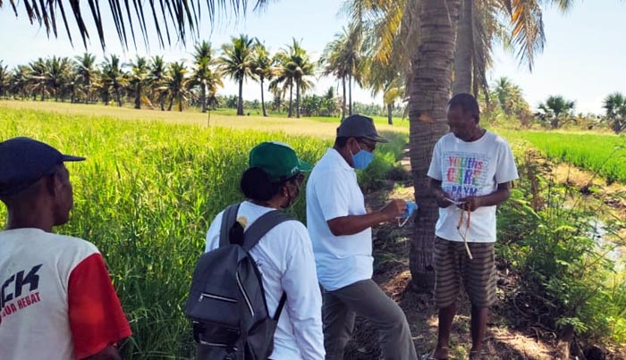 Bupati Nagekeo Temui Penyuluh Dukung #PertanianTidakBerhenti