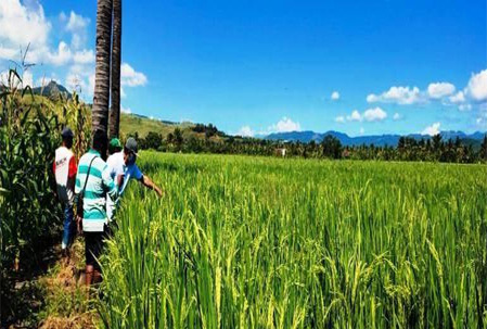 Temui Perbankan, Bupati Nagekeo NTT Ajak Petani Pakai KUR ... Kalau Tidak???