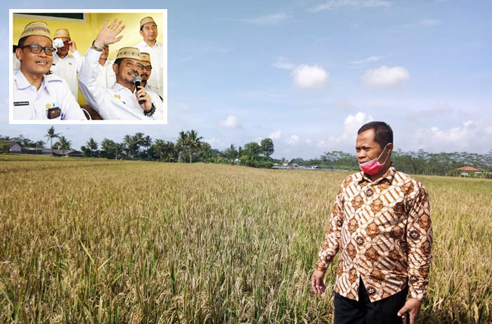 Pertanian Eksis, Petani Jumo Terus Panen #PertanianTidakBerhenti di Temanggung