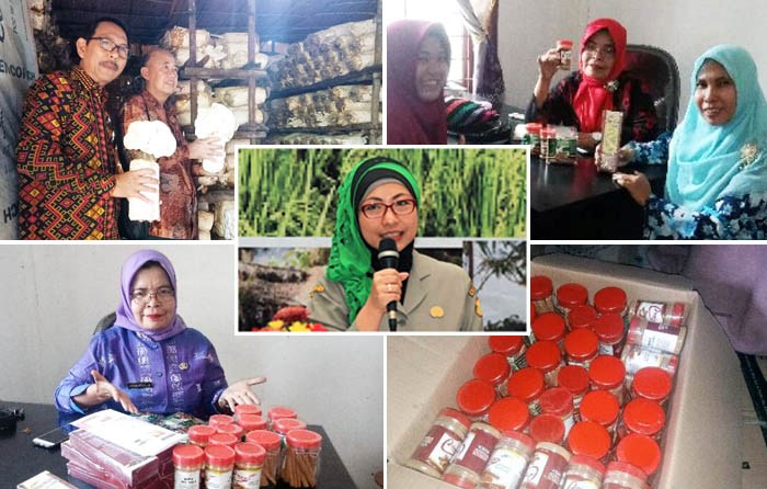 Tetap Produksi, PWMP Binaan Pusdiktan BPPSDMP Tiada Terusik Corona