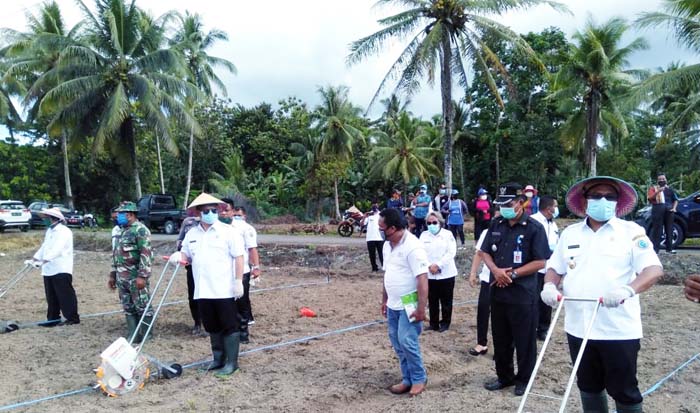 Bupati Talaud Beri BLT Rp500 Ribu bagi Warga Tanami Pekarangan