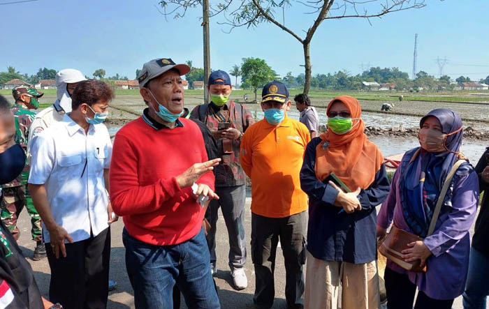 Irjentan Optimistis Cianjur Tambah Luas Tanam Padi pada Juni