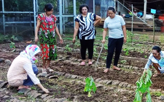 Mandiri Pangan, Penyuluh BPP Marioriawa Ajak Warga Soppeng Tanami Pekarangan